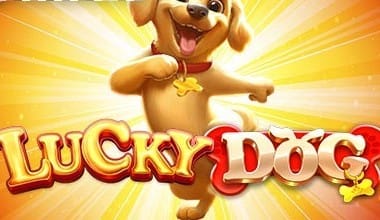 Lucky Dog